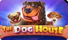 Slots Gallery Casino – The Dog House